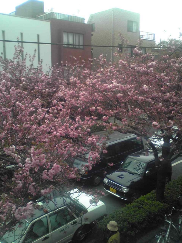 f:id:hidehori1968:20110418153354j:image