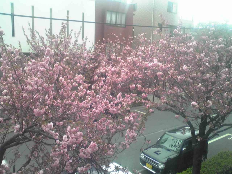 f:id:hidehori1968:20110418153356j:image
