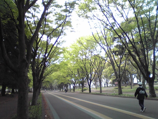 f:id:hidehori1968:20110422160102j:image