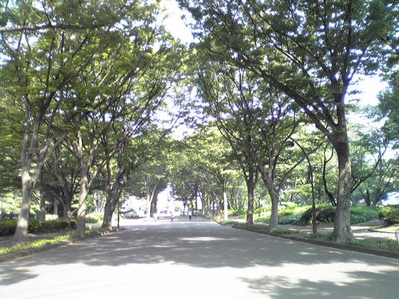 f:id:hidehori1968:20110520105931j:image
