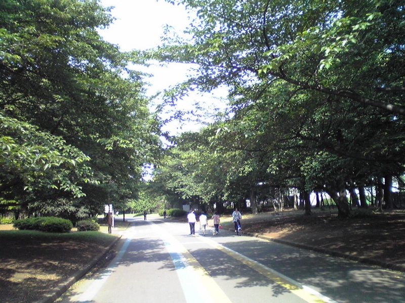 f:id:hidehori1968:20110520110044j:image