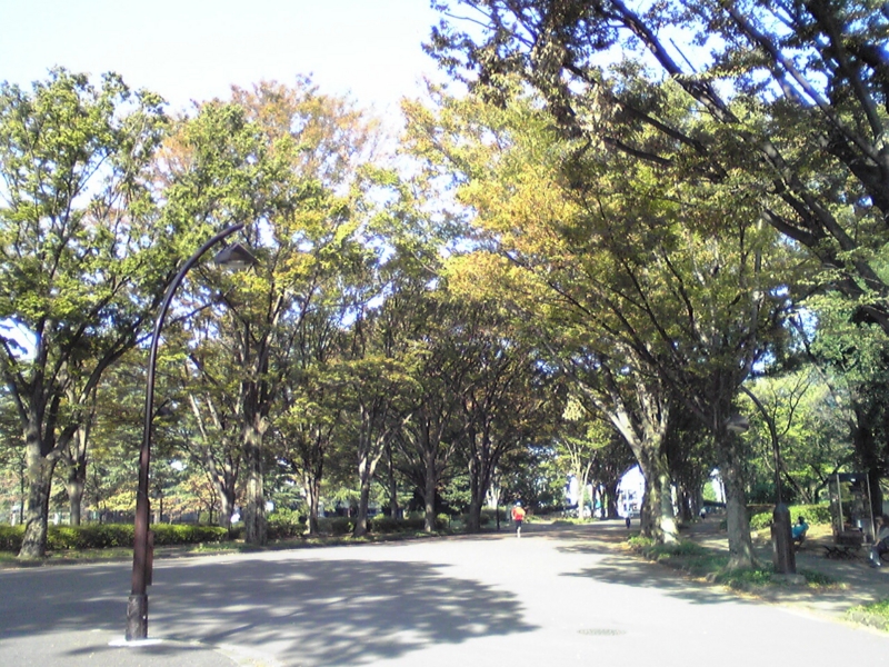 f:id:hidehori1968:20110929083907j:image