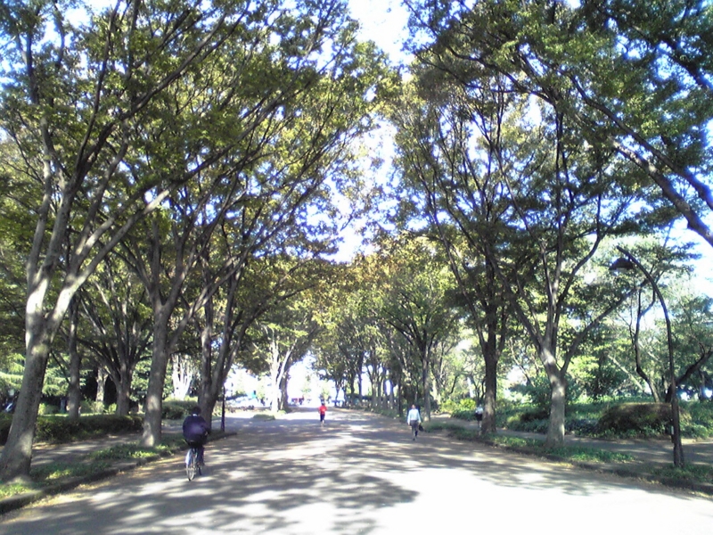 f:id:hidehori1968:20110929083908j:image
