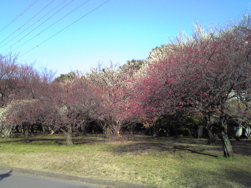 f:id:hidehori1968:20120314091610j:image