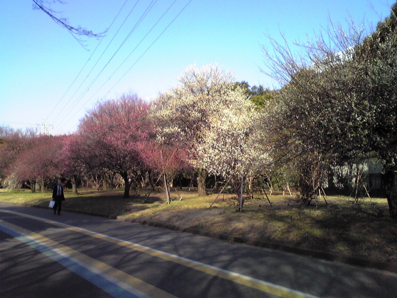 f:id:hidehori1968:20120314091612j:image