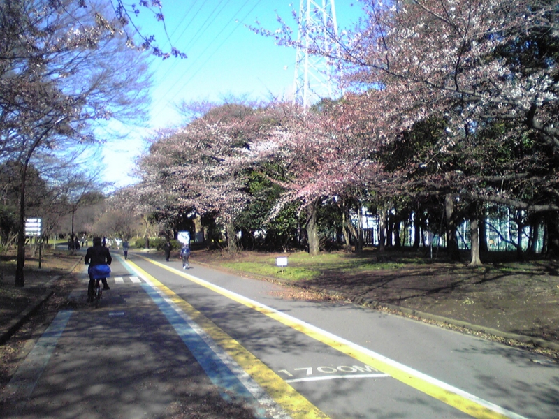 f:id:hidehori1968:20120404141633j:image