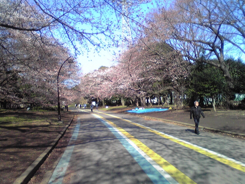 f:id:hidehori1968:20120404141637j:image