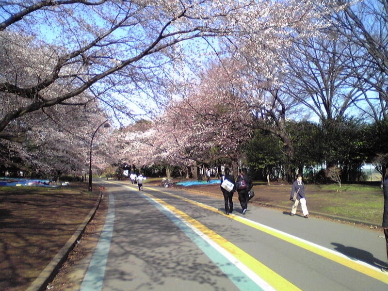 f:id:hidehori1968:20120405084133j:image