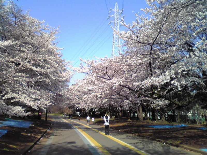 f:id:hidehori1968:20120409084810j:image