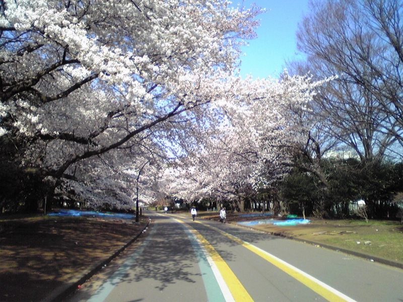 f:id:hidehori1968:20120409084812j:image