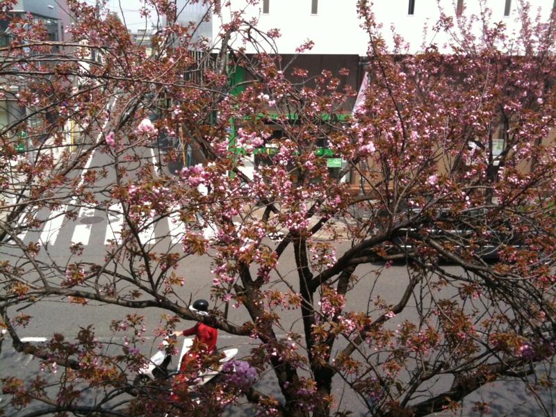 f:id:hidehori1968:20120417105057j:image