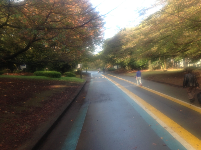 f:id:hidehori1968:20121107093004j:image:w360
