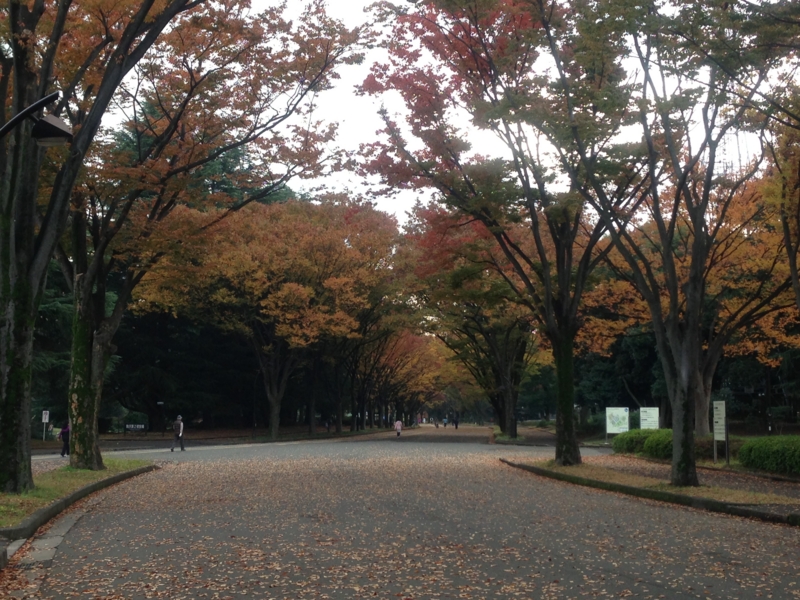 f:id:hidehori1968:20121115084715j:image
