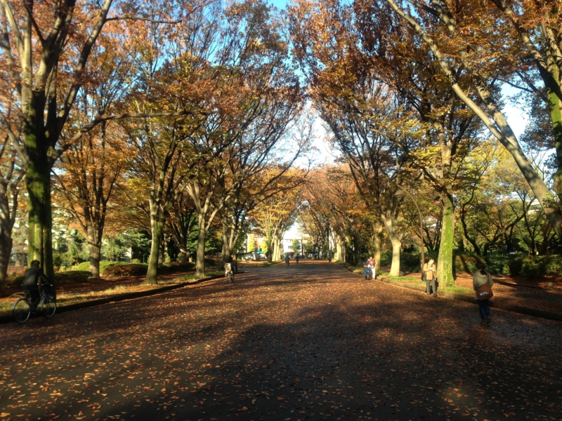 f:id:hidehori1968:20121206100337j:image:w640
