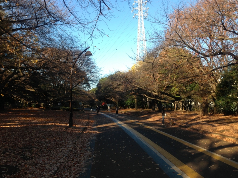 f:id:hidehori1968:20121206100338j:image:w640