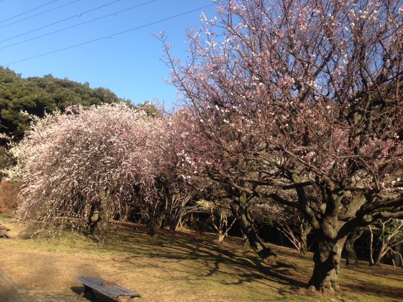 f:id:hidehori1968:20130306173401j:image:w640
