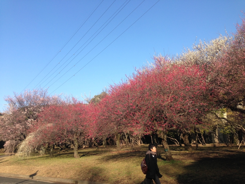f:id:hidehori1968:20130306173403j:image:w640