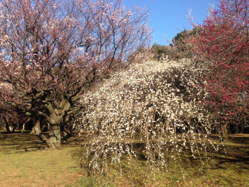 f:id:hidehori1968:20130306173404j:image:w640