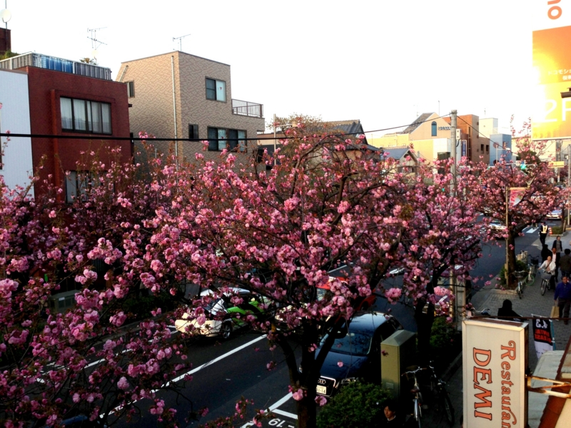 f:id:hidehori1968:20130405172840j:image:w640