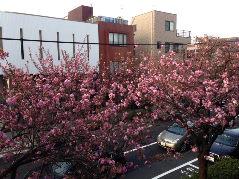 f:id:hidehori1968:20130405172852j:image:w640