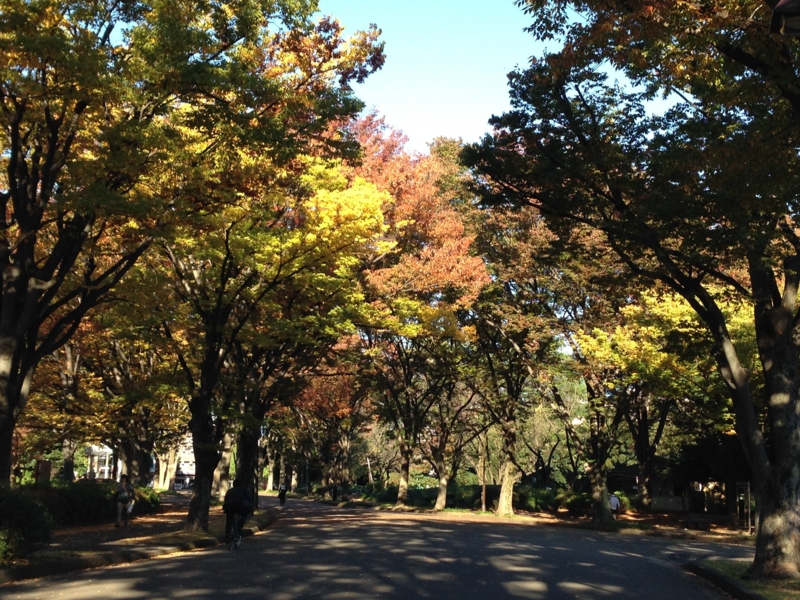 f:id:hidehori1968:20131113102039j:image:w640