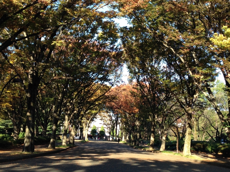 f:id:hidehori1968:20131113102049j:image:w640