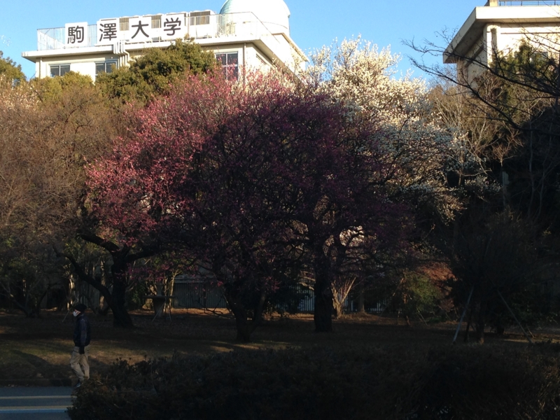 f:id:hidehori1968:20140129174100j:image:w480