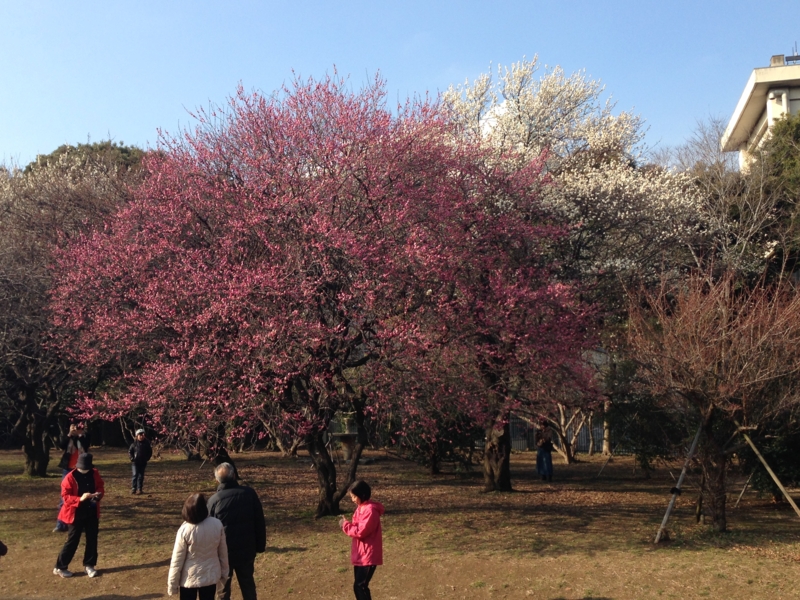 f:id:hidehori1968:20140203111632j:image:w480