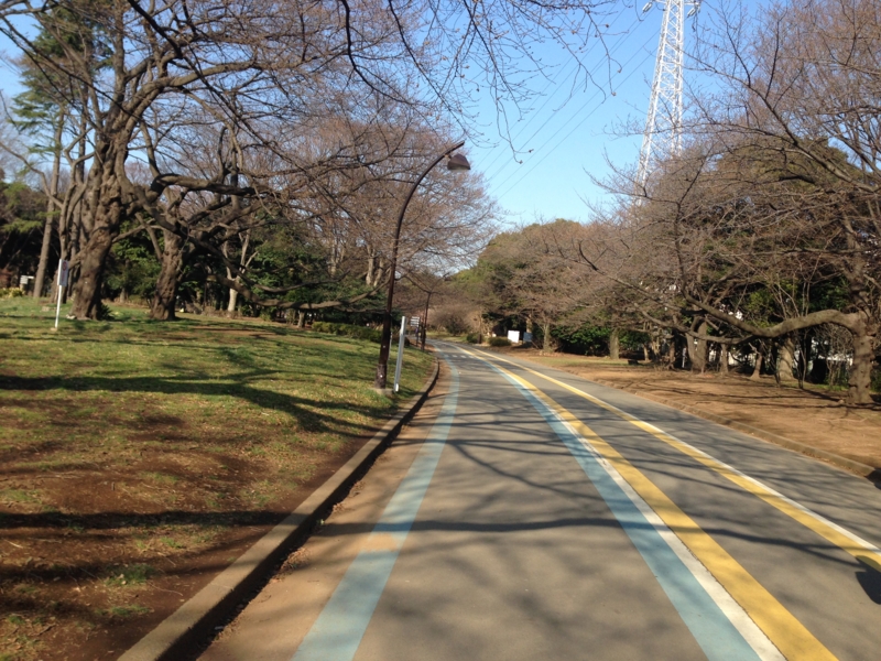f:id:hidehori1968:20140324101803j:image:w640