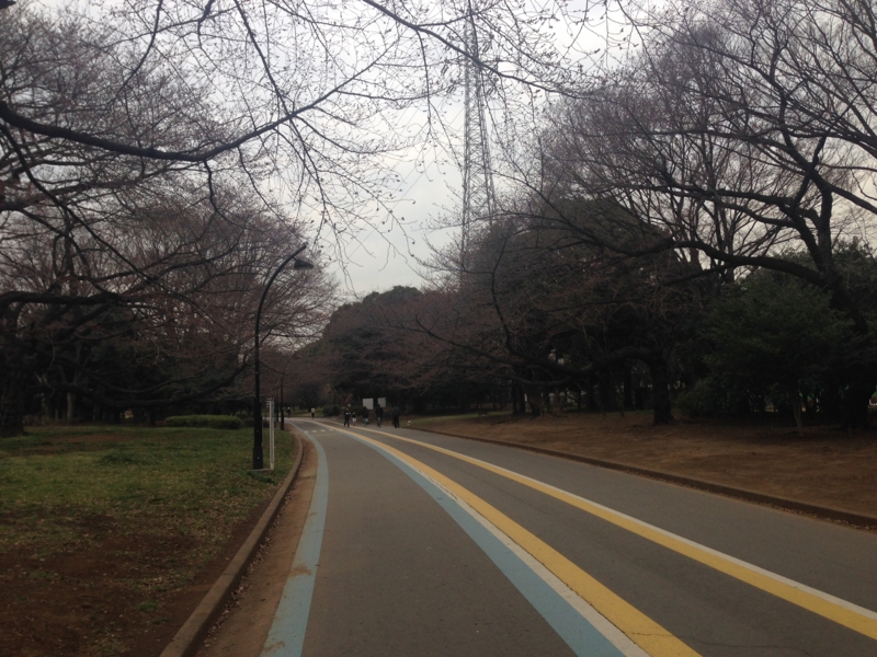 f:id:hidehori1968:20140326084511j:image:w640