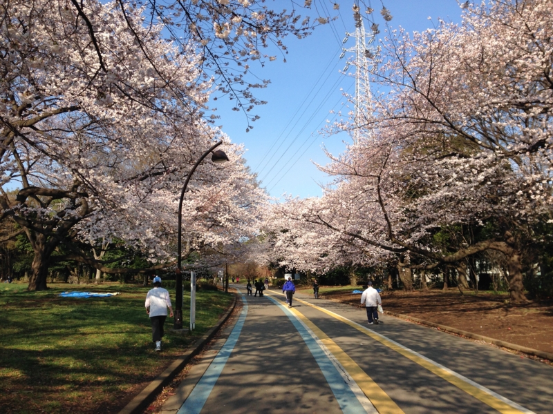 f:id:hidehori1968:20140331084635j:image:w640