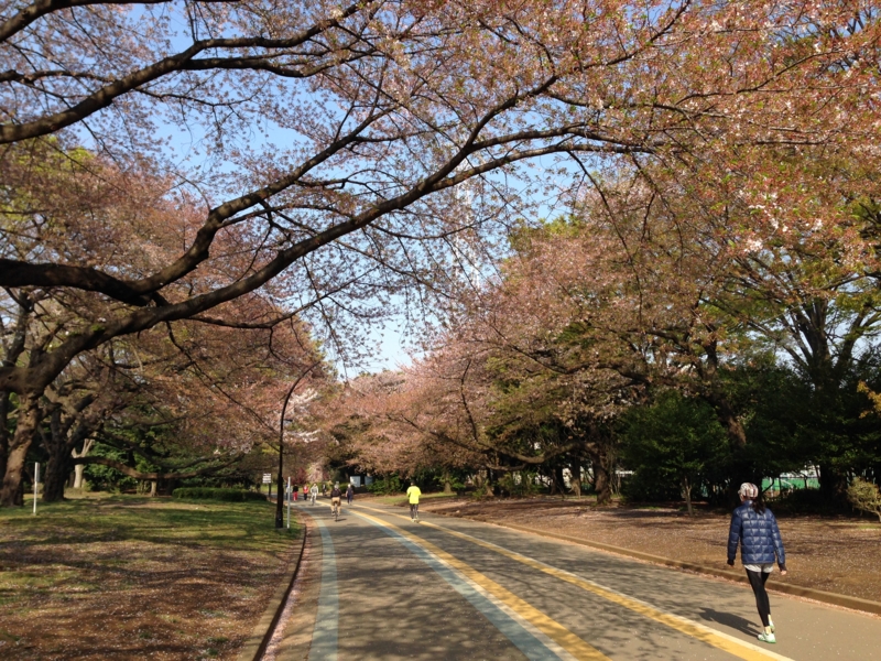 f:id:hidehori1968:20140410091614j:image:w640