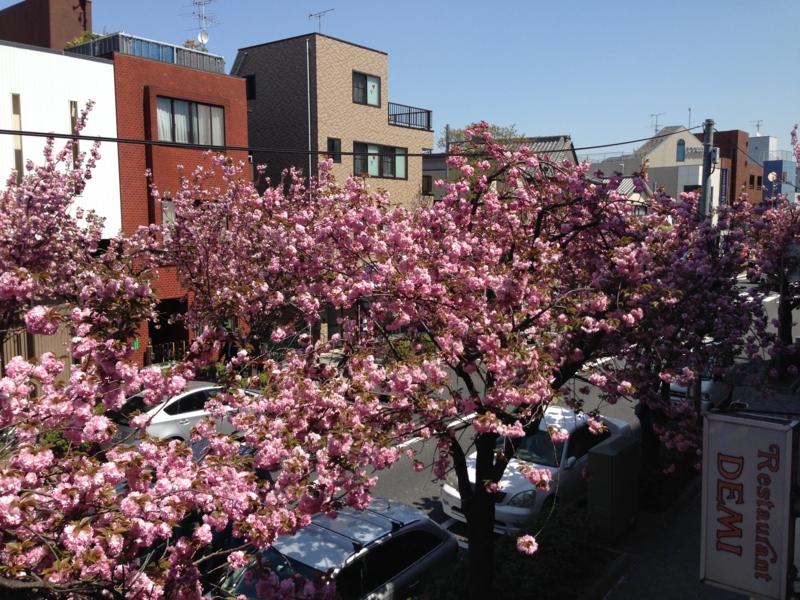 f:id:hidehori1968:20140415112040j:image:w640