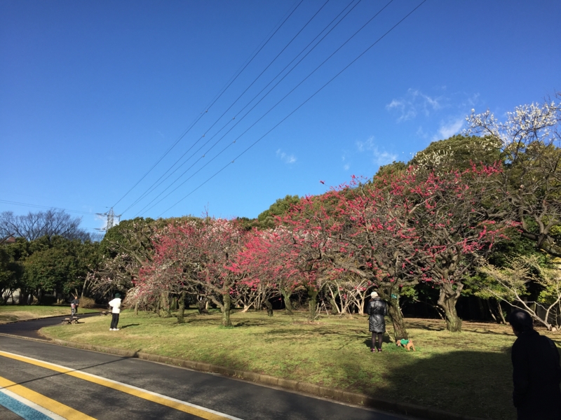 f:id:hidehori1968:20150311085120j:image:w640
