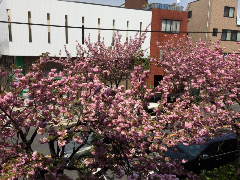 f:id:hidehori1968:20150416125325j:image
