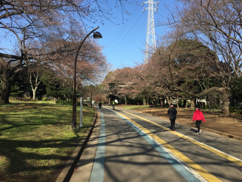 f:id:hidehori1968:20160325114606j:image:w640