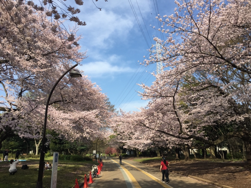 f:id:hidehori1968:20160406084941j:image:w640