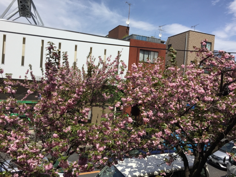 f:id:hidehori1968:20160419091757j:image:w640