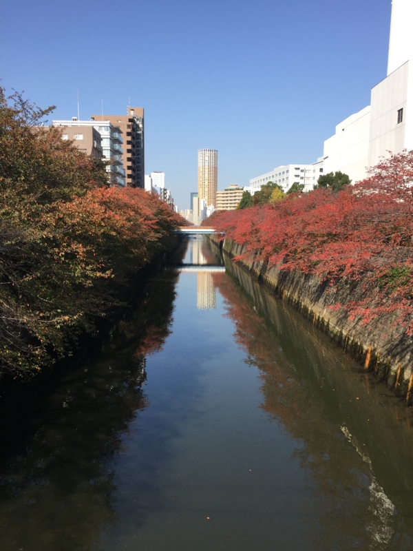 f:id:hidehori1968:20161114094547j:image:w640