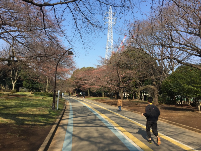 f:id:hidehori1968:20170330091311j:image:w640