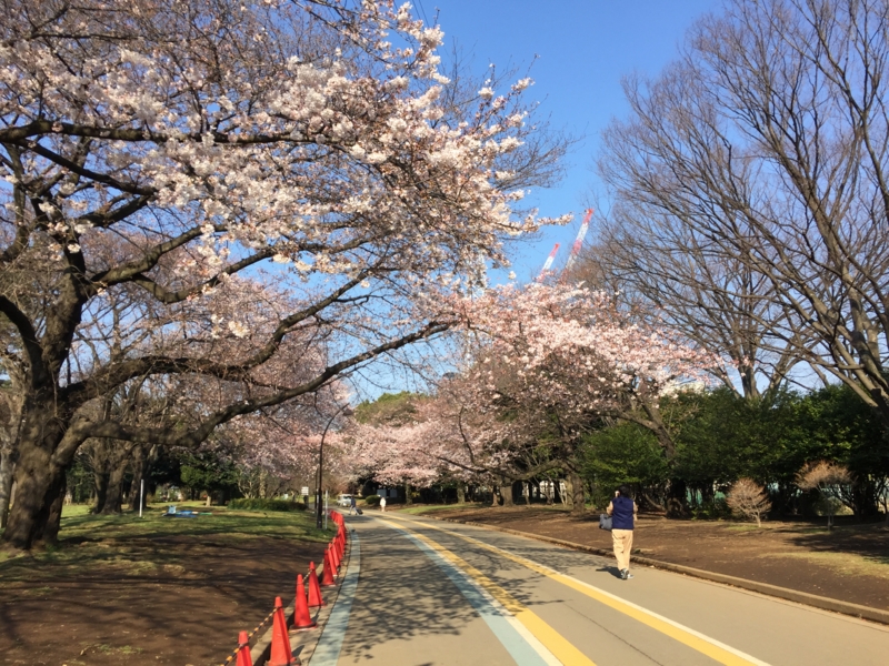 f:id:hidehori1968:20170404091752j:image:w640
