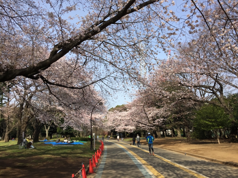 f:id:hidehori1968:20170408111447j:image:w640