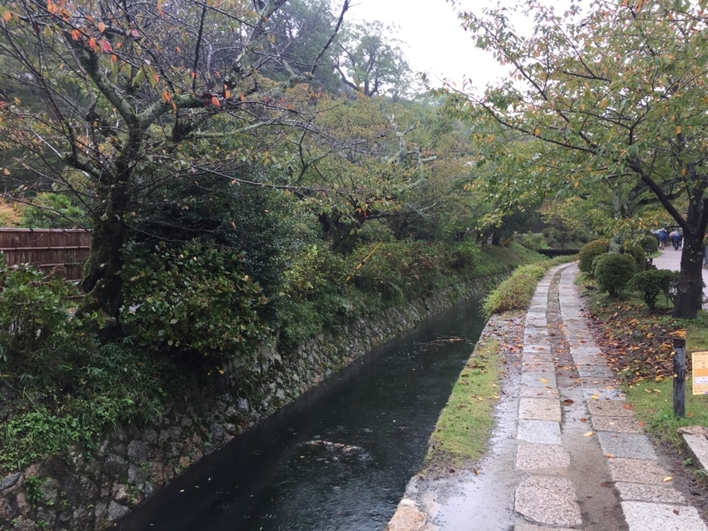 f:id:hidehori1968:20171023101924j:image:w640 f:id:hidehori1968:20171023101924j:image:w640