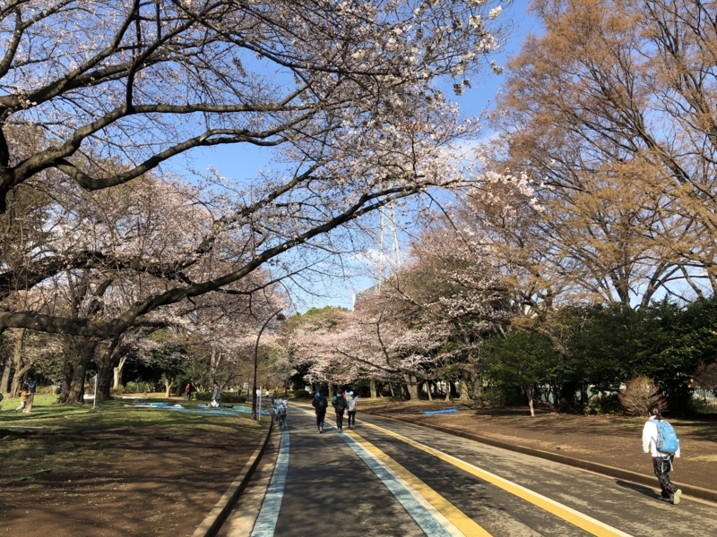 f:id:hidehori1968:20180324084107j:image:w640