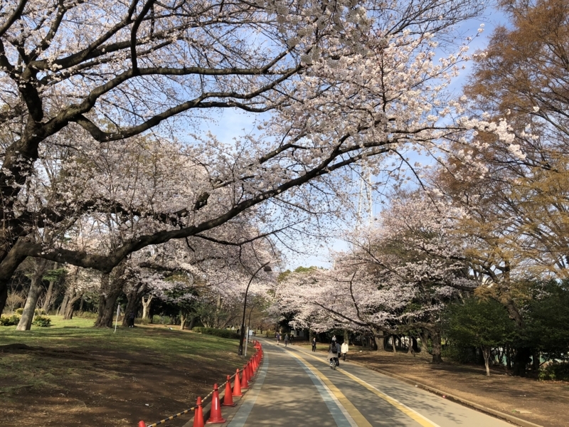 f:id:hidehori1968:20180326092337j:image:w640