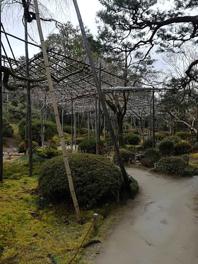 f:id:hidejirokun:20190110134346j:plain f:id:hidejirokun:20190110134346j:plain