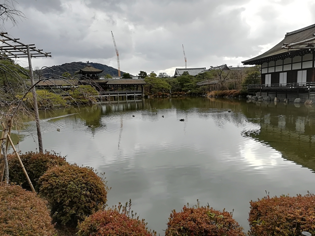 f:id:hidejirokun:20190110134414j:plain f:id:hidejirokun:20190110134414j:plain