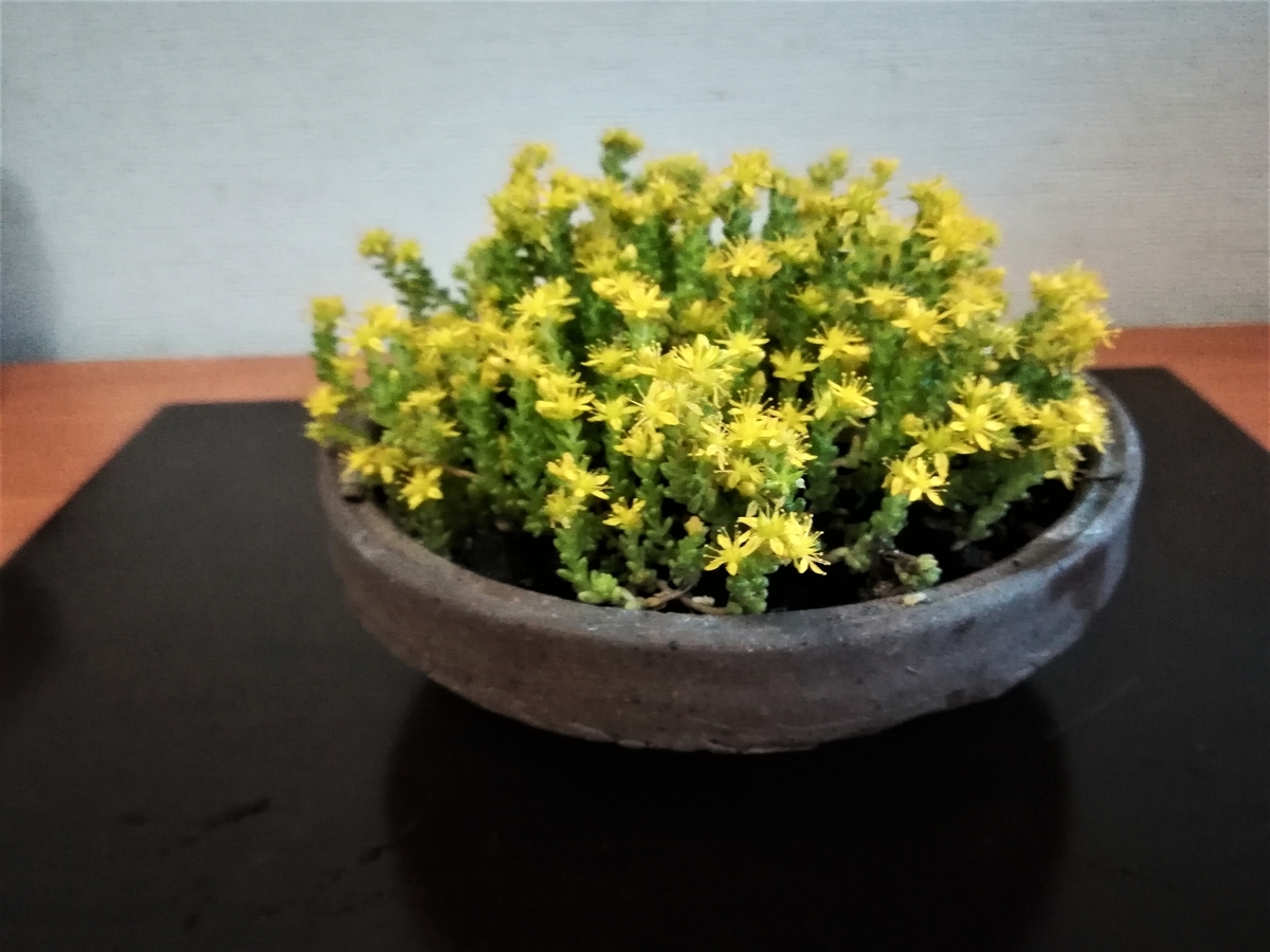 f:id:hidejirokun:20190707172328j:plain f:id:hidejirokun:20190707172328j:plain