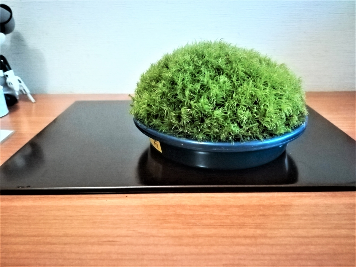 f:id:hidejirokun:20190707173838j:plain f:id:hidejirokun:20190707173838j:plain