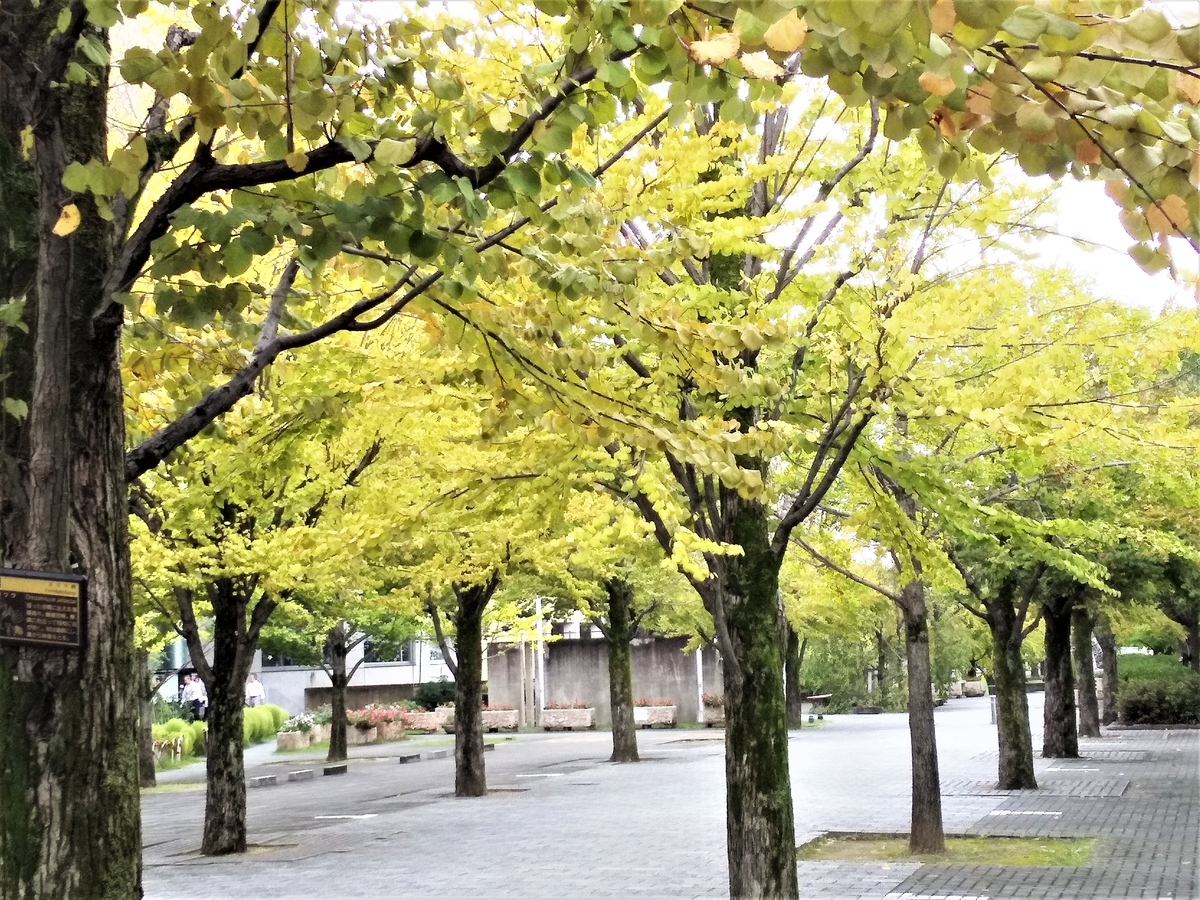 f:id:hidejirokun:20190921162504j:plain f:id:hidejirokun:20190921162504j:plain